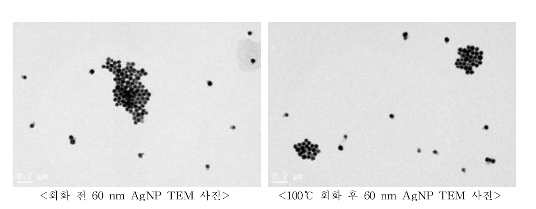 100℃ 회화 전‧후 60 nm AgNP TEM 사진