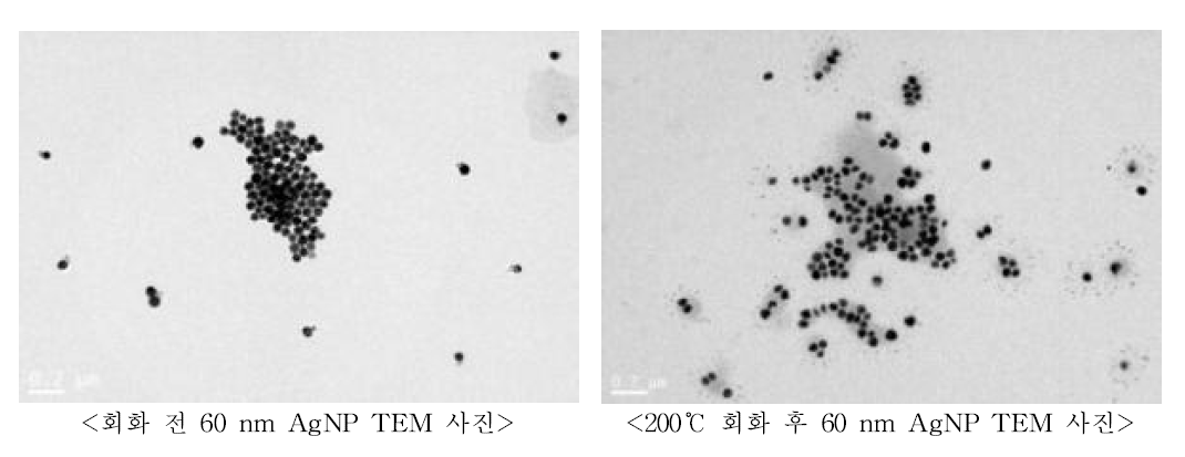 200℃ 회화 전‧후 60 nm AgNP TEM 사진