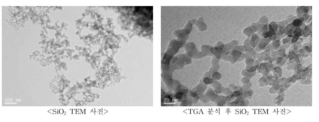 TGA 분석 전‧후 SiO2 TEM 사진 비교