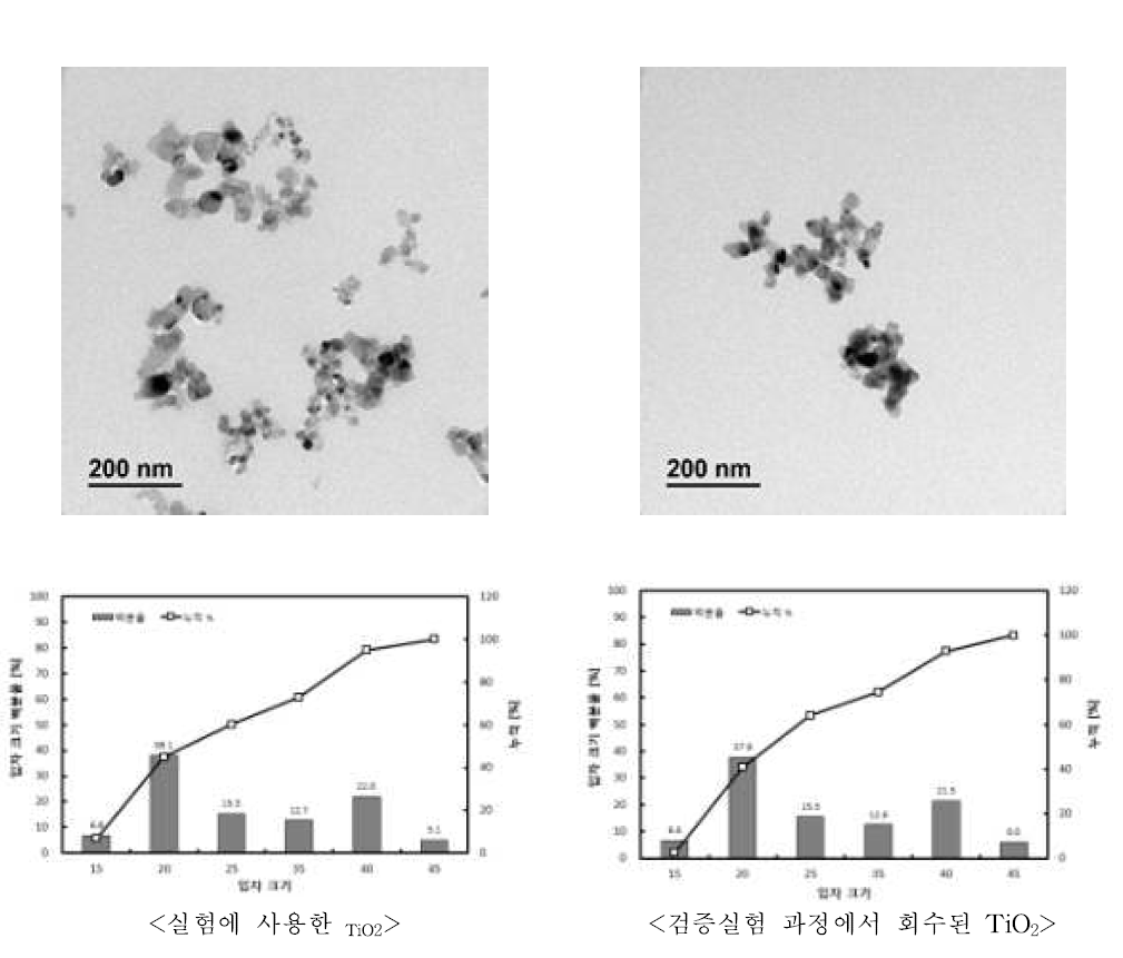 고체상 제품2에 입자의 TEM 사진 및 입자 크기분포도