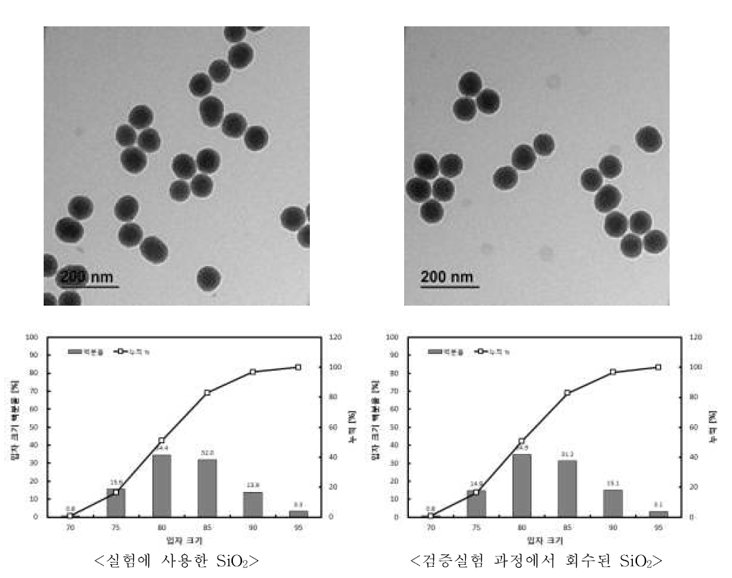 고체상 제품1에 입자의 TEM 사진 및 입자 크기분포도