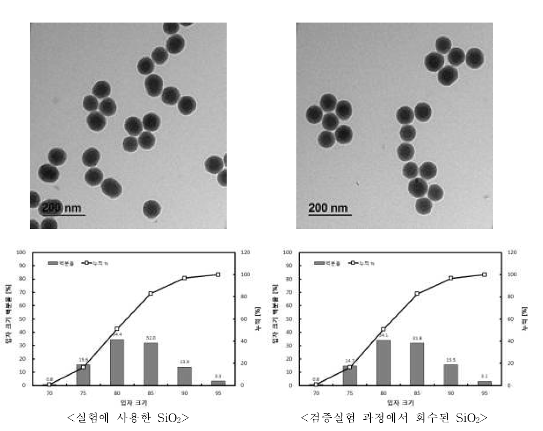 고체상 제품2에 입자의 TEM 사진 및 입자 크기분포도