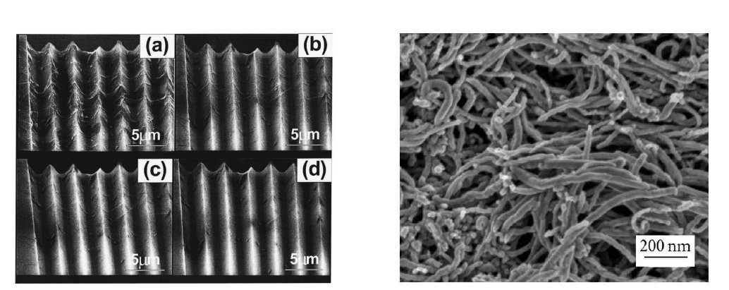 Scanning electron microscopy를 이용한 multiwall carbon nanotube 이미지