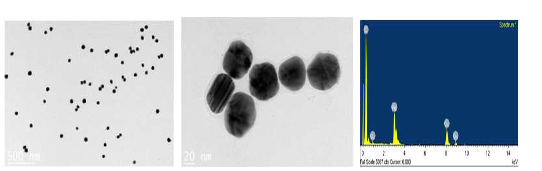 전자투과현미경을 이용해 분석한 60nm citrate-AgNP (NanoComposix) 이미지(좌, 중)와 EDS를 이용한 조성분석