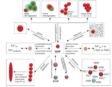 자연발생 철 산화물 나노입자(nano iron oxide particle, NIOP)의 수환경 내에서의 거동