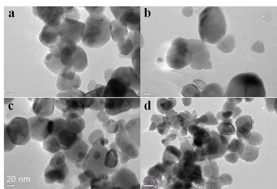 Citric acid 농도에 따른 ZnO NPs의 TEM 분석 결과(1 ppm (a), 5 ppm (b), 10 ppm (c), 20 ppm (d)).