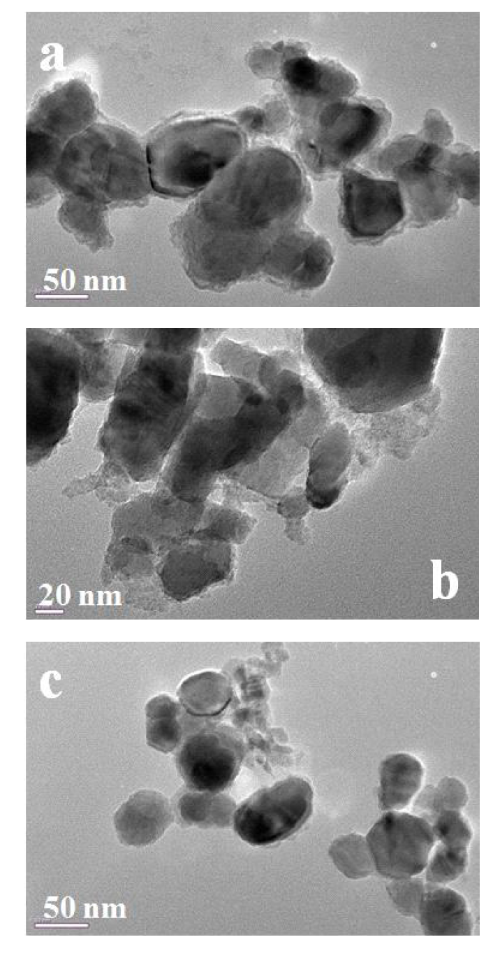 실제 환경수에서 ZnO NPs 침전물의 TEM 분석결과 (하천수(a), 호소수(b), 하수(c))([ZnO NPs]=100 mg/L).