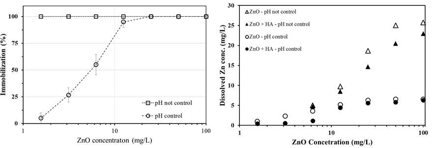 pH 조절에 따른 변환된 ZnO NPs의 독성 결과(a) 및 용해된 Zn 농도(b).