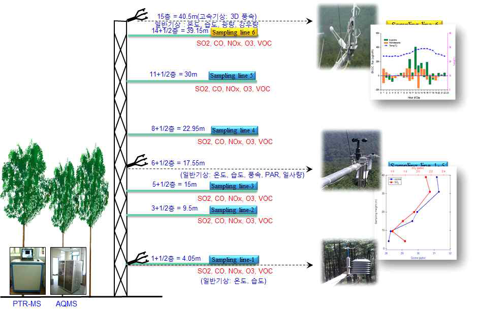Schematic diagram of Taehwa flux tower.