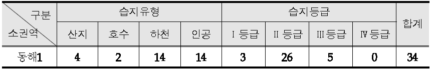 Wetland class and type of Donghae 1 sub-regions