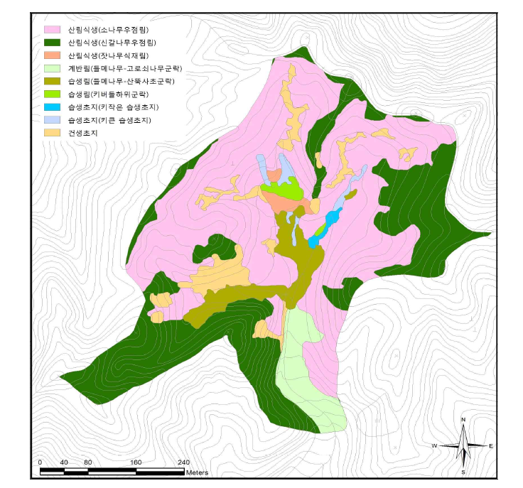 Actual vegetation map of Myeonsan wetland.