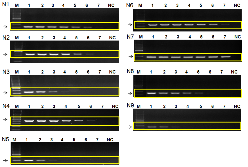 Sensitivity of AIV primers for NA1-9.