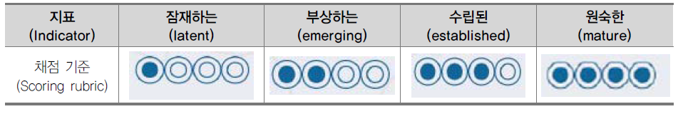 SABER 평가 척도