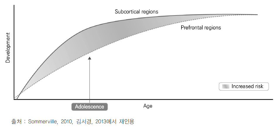 청소년기와 뇌 발달의 상관관계