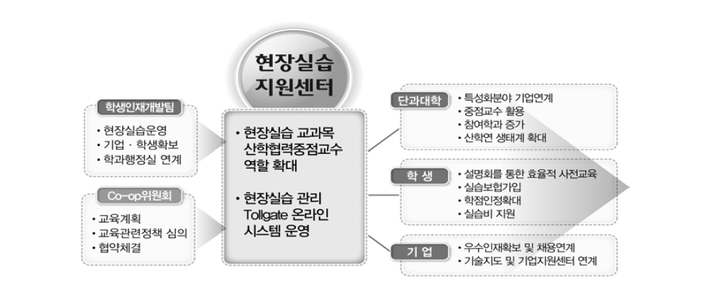 현장실습 프로그램 추진 체계