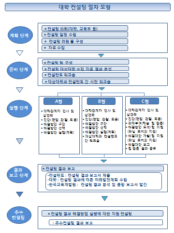 대학 컨설팅의 절차 모형