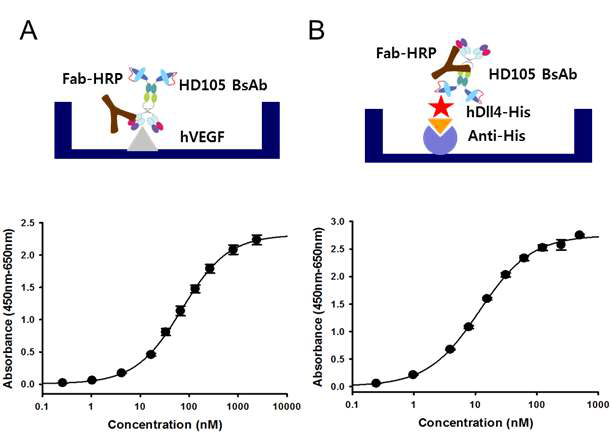 Dose-dependent binding profiles of HD105 bispecific antibody (BsAb) against each target antigen, hVEGF (A) and hDll4 (B).
