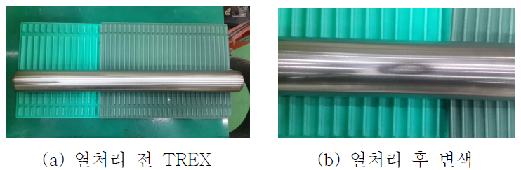 열처리 전/후 TREX 표면