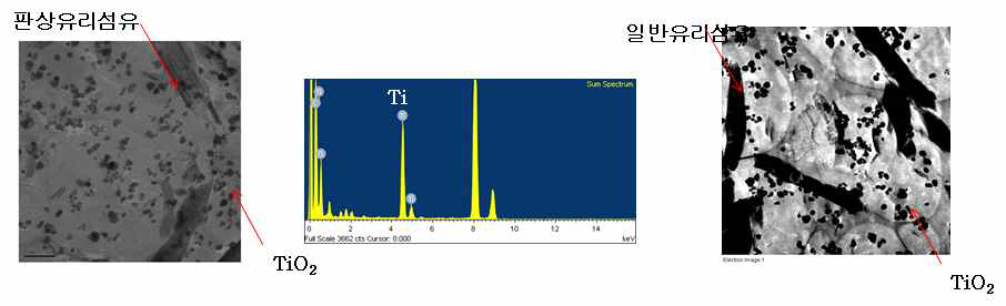 PCT 복합소재의 TEM 사진