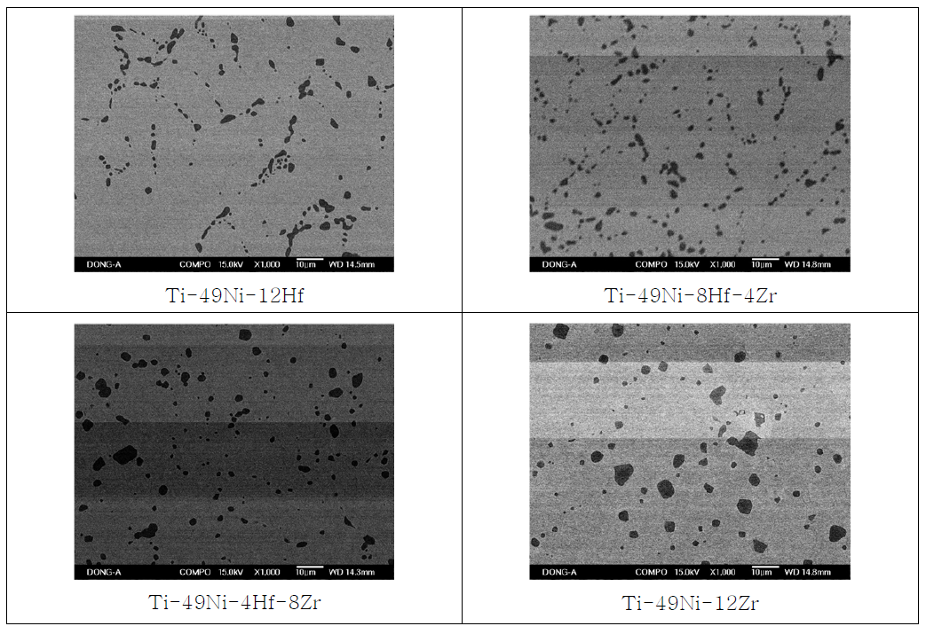 Ti-49Ni-(12-X)Hf-XZr(at.%) 합금의 SEM IMAGE