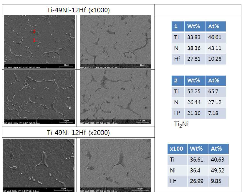 Ti-49Ni-12Hf 소재의 SEM 미세조직 사진