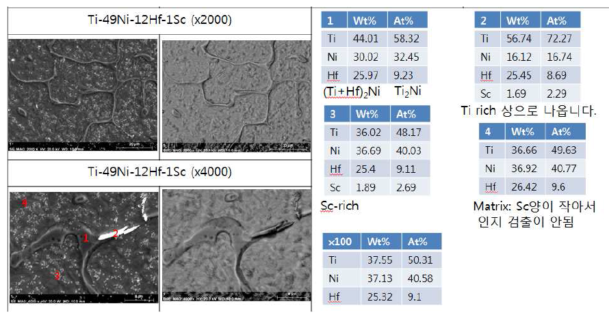 Ti-49Ni-12Hf-1Sc 소재의 SEM 미세조직 사진