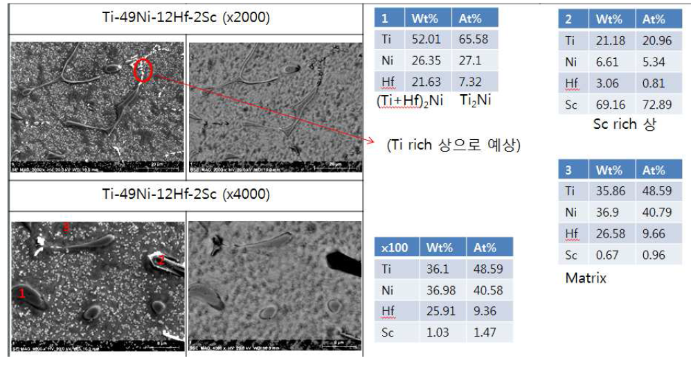 Ti-49Ni-12Hf-2Sc 소재의 SEM 미세조직 사진