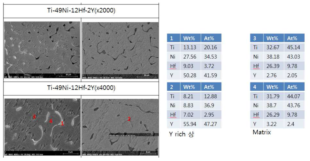 Ti-49Ni-12Hf-2Y 소재의 SEM 미세조직 사진
