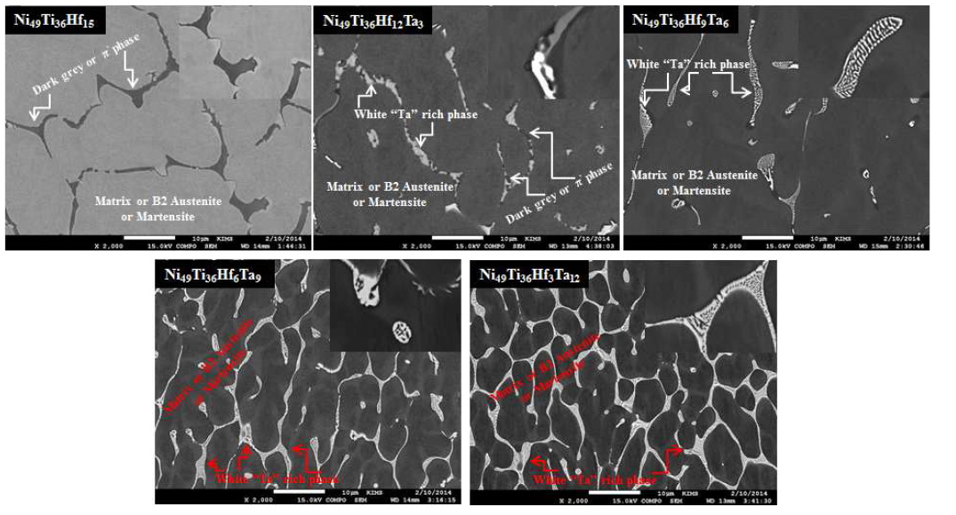 Ni49Ti36Hf15-X Ta(x= 0, 3, 6, 9, 12) 합금의 SEM 미세조직 사진