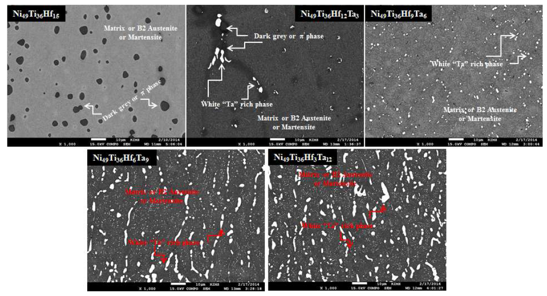 균질화 처리 후 Ni49Ti36Hf15-X Ta(x= 0, 3, 6, 9, 12) 합금의 SEM 분석결과