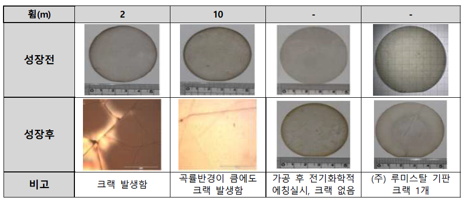 동종 GaN 성장결과