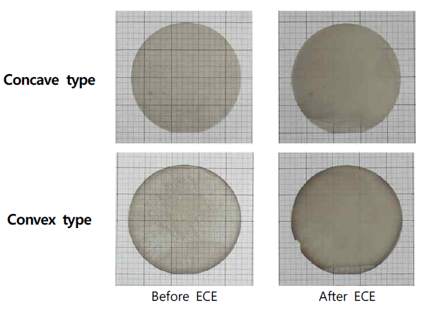 Electro-chemical etching 후 샘플 이미지