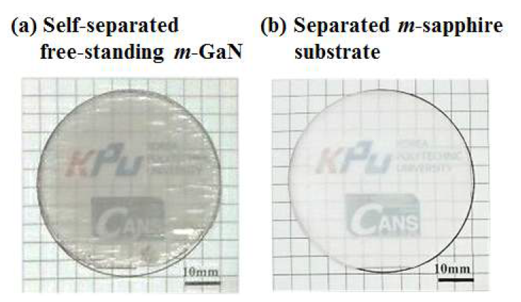분리된 무극성 m-GaN 기판과 m-사파이어