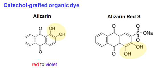 Alizarin 및 Alizarin Red S의 분자 구조