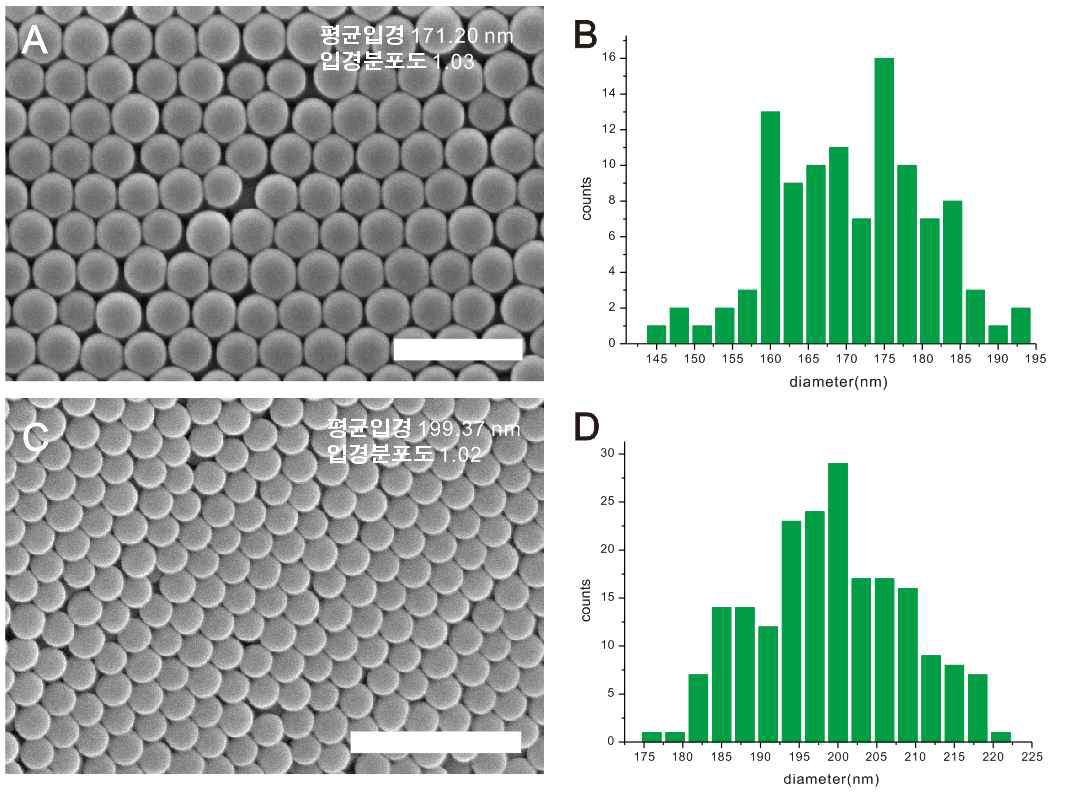 (A) 평균 입경 170 nm SiO2 나노입자의 SEM 사진(scale bar 500 nm) (B) 그림 A 나노입자의 입경분포도 그래프 (C) 평균 입경 200 nm SiO2 나노입자의 SEM 사진(scale bar 1 um) (D) 그림 C 나노입자의 입경분포도 그래프