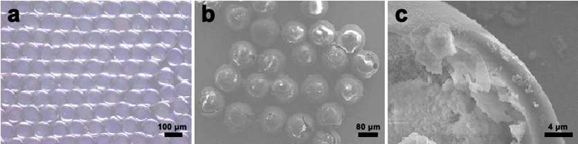콜로이드 나노입자들이 포함된 마이크로캡슐 (a) 광학현미경 사진 (b, c) 마이크로캡슐의 외부, 내부 SEM 사진