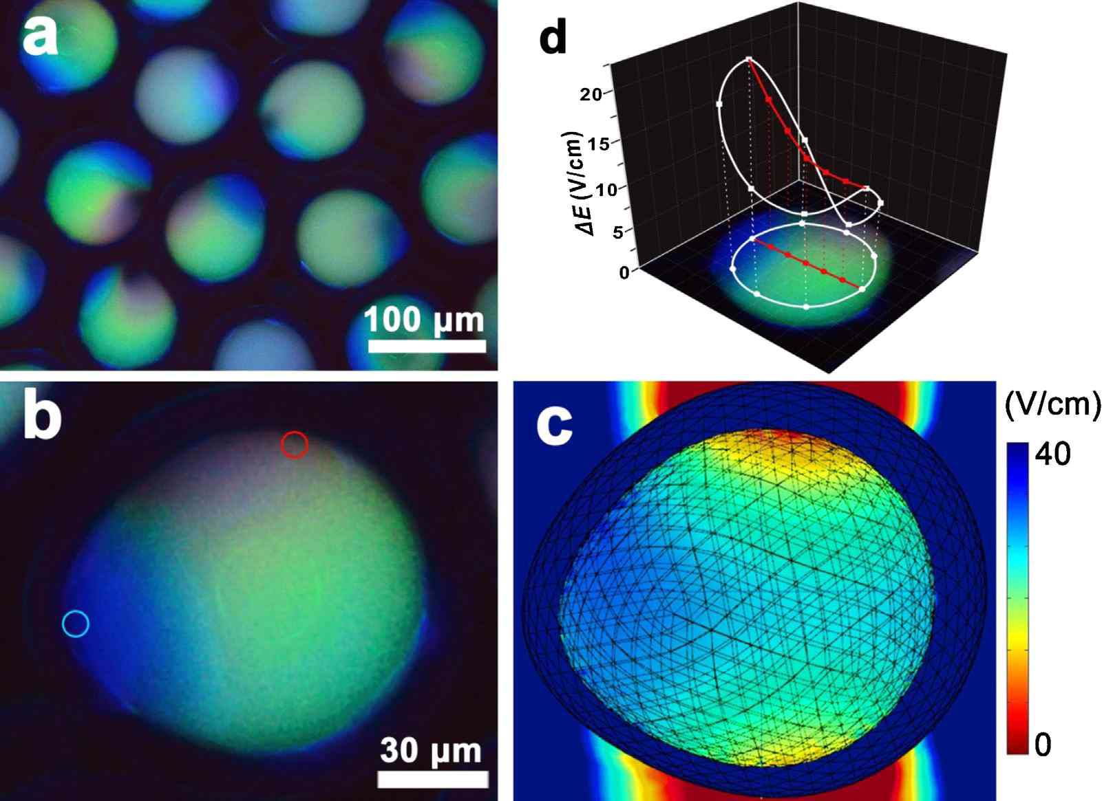 (a) 300 V/cm의 전기장을 가했을 때 풀컬러를 나타내는 마이크로캡슐 (b,c) 마이크로캡슐 내부의 색을 통한 전기장 세기의 감지 (d) COMSOL을 이용한 캡슐 내부의 전기장 세기의 시뮬레이션 결과