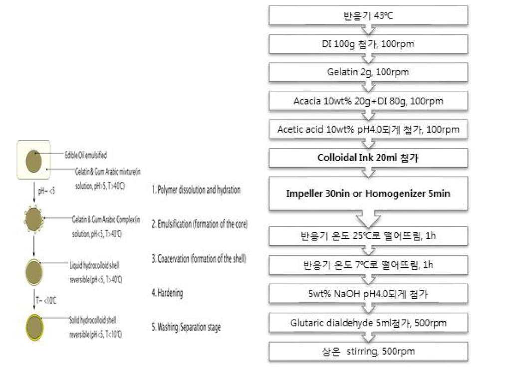 복합 코아세르베이션 공정모식도 및 흐름도