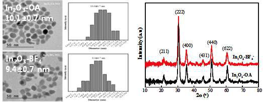 리간드 교환 전/후 In2O3 나노입자의 TEM과 XRD 분석결과