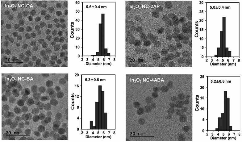 각 In2O3 나노입자의 TEM 분석 결과