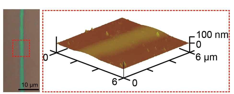 EHD 잉크젯 시스템으로 프린팅된 산화물 반도체 패턴(선폭: 2 μm)의 사진과 AFM data