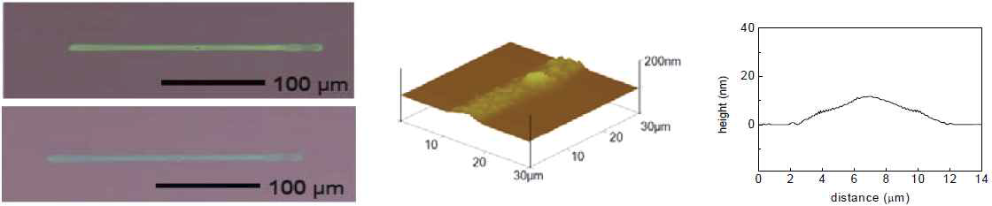 EHD 잉크젯 시스템으로 프린팅된 산화물 반도체 패턴(선폭: 9 μm)의 사진: 350도 열처리 전(왼쪽 위)과 열처리 후(오른쪽 아래), 프린팅 횟수: 1회.