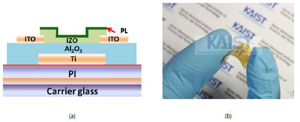 PI 기판 위에 제작한 IZO TFT 소자의 (a) 단면 모식도 (b) 유연 전자 기판의 사진