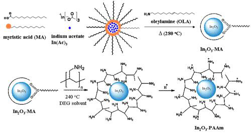 MA에서 고분자 PAAm으로의 리간드 교환을 통한 수용성 indium oxide 나노입자 합성