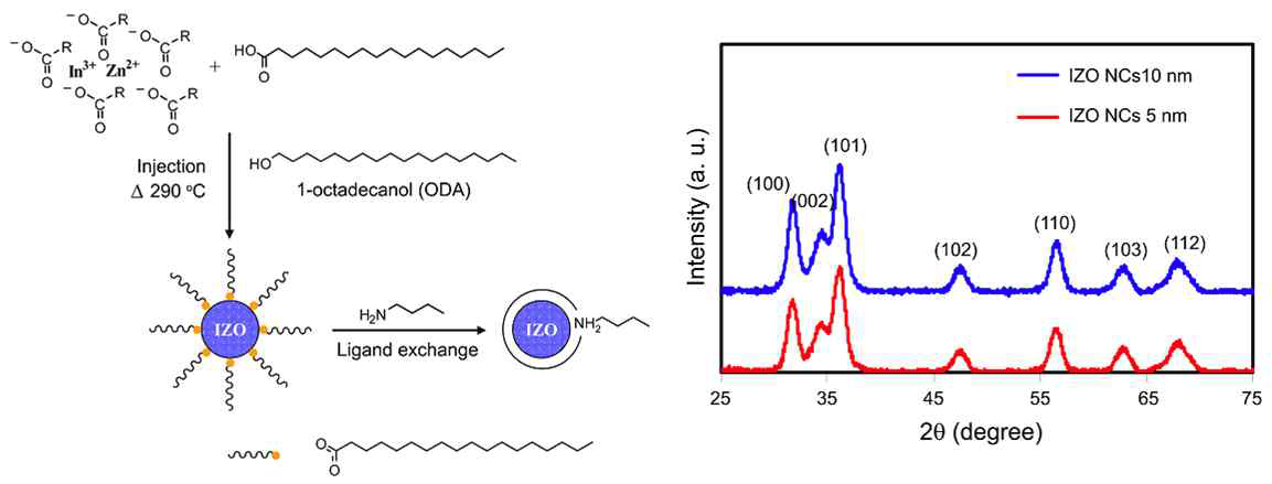Stearic acid (SA)로 캐핑된 IZO 나노입자의 합성과 butylamine (BA)로의 리간드 교환 및 각 나노입자의 XRD 패턴 분석결과