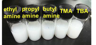 alkylamine 및 암모늄 이온을 사용하여 박리화한 Ti5NbO14 나노시트 콜로이드의 현탁액의 사진