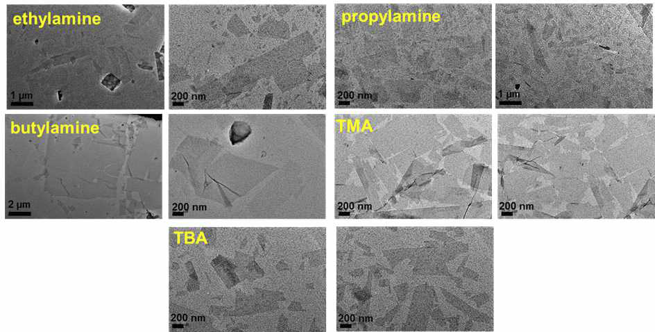 alkylamine 및 암모늄 이온을 사용하여 박리화한 Ti5NbO14 나노시트 콜로이드의 TEM 이미지 결과