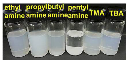 alkylamine 및 암모늄 이온을 사용하여 박리화한 CaLaNb2TiO10 나노시트 콜로이드의 현탁액의 사진