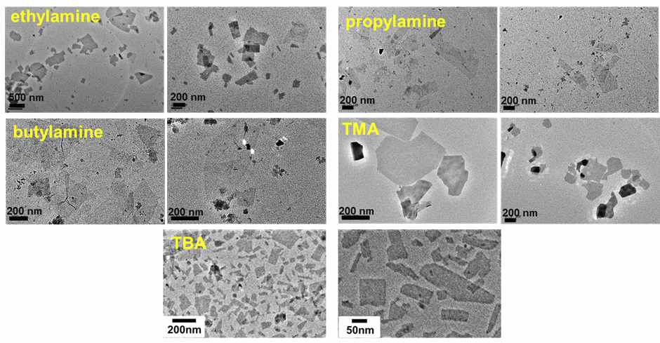 alkylamine 및 암모늄 이온을 사용하여 박리화한 CaLaNb2TiO10 나노시트 콜로이드의 TEM 이미지 결과