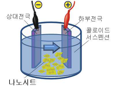 전기영동법의 모식도